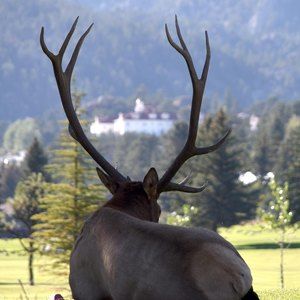 Meet your Posher, Richard